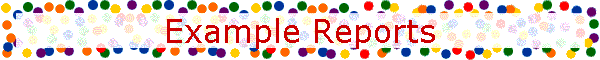 Example Reports