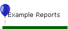 Example Reports